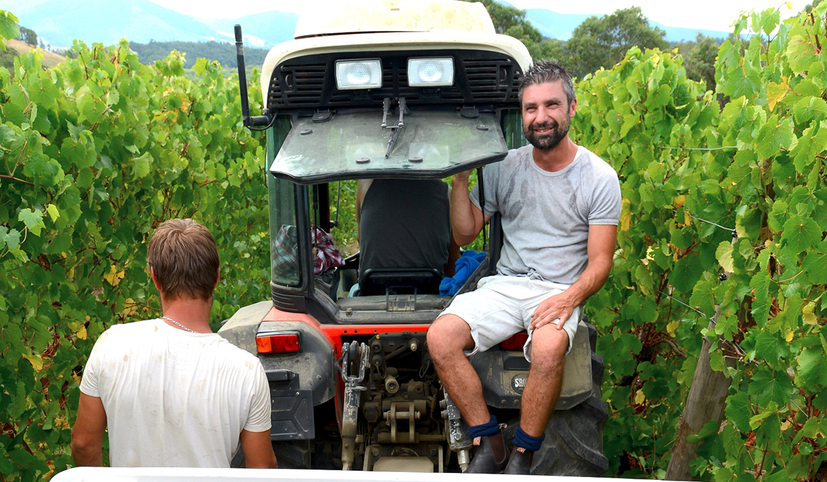 Franco D'Anna in the vineyard