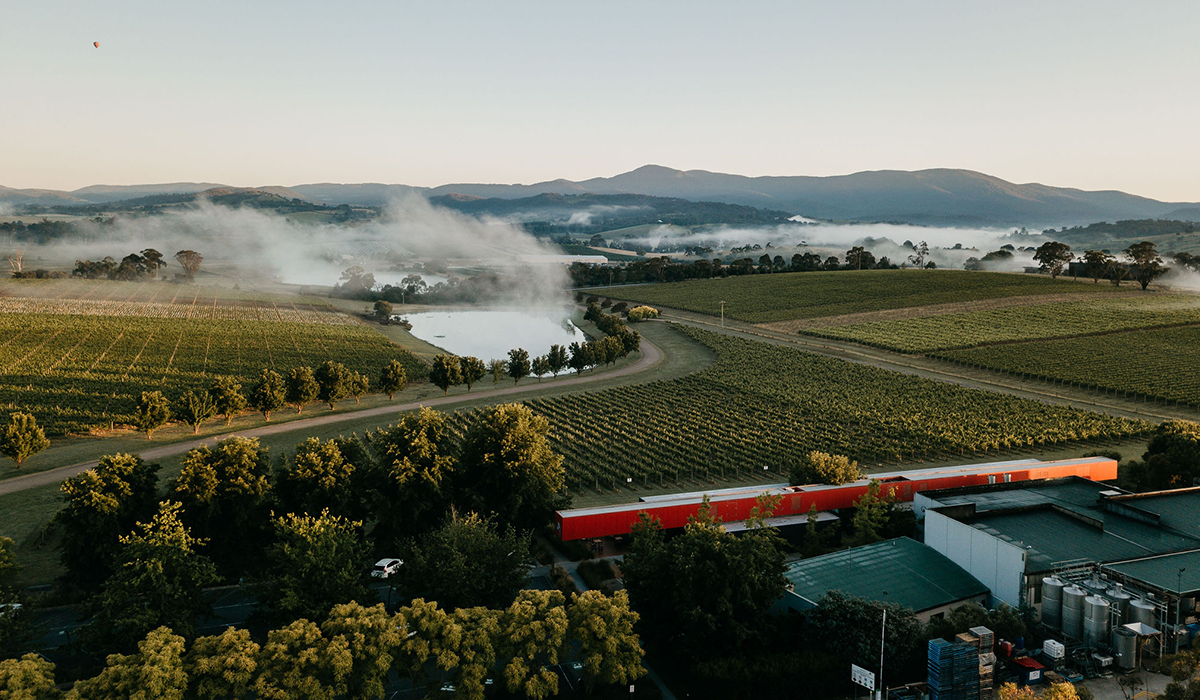 Oakridge winery and vineyard drone view