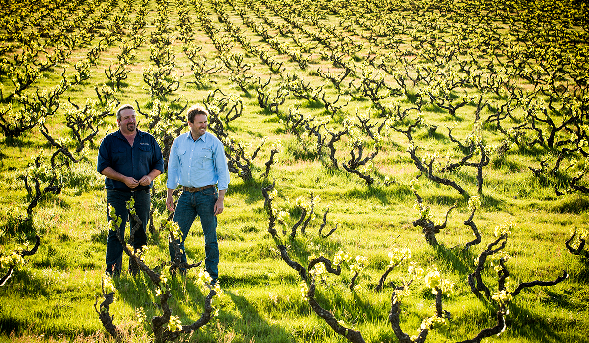 Michael and Pete in the vineyard