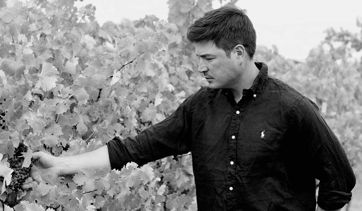 Josh Cooper in the vineyard