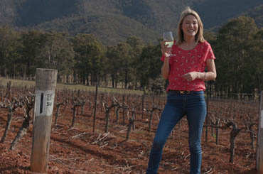 The Halliday Cellar Door Series