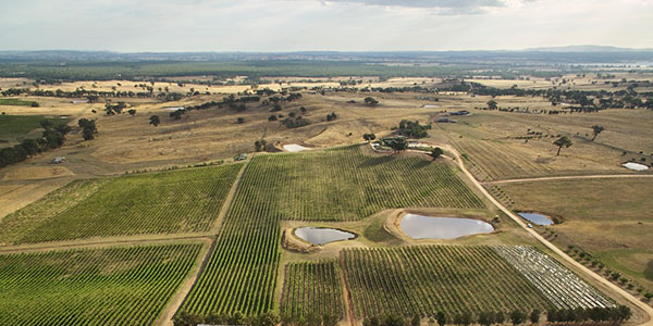 Heathcote vineyard bird's eye view