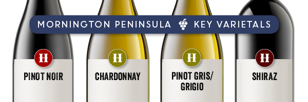 Infographic of Mornington Peninsula wine styles