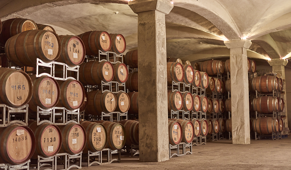 Barrel room at a winery