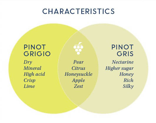 Characteristics of pinot gris and grigio