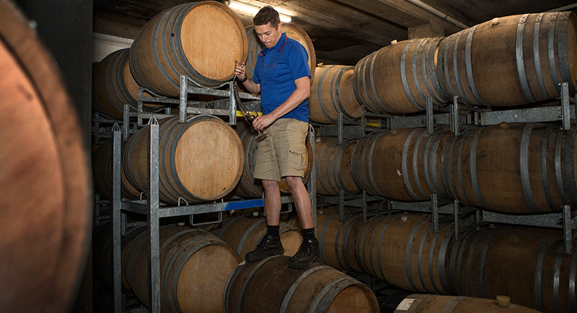 Coulter Wines Barrel Room