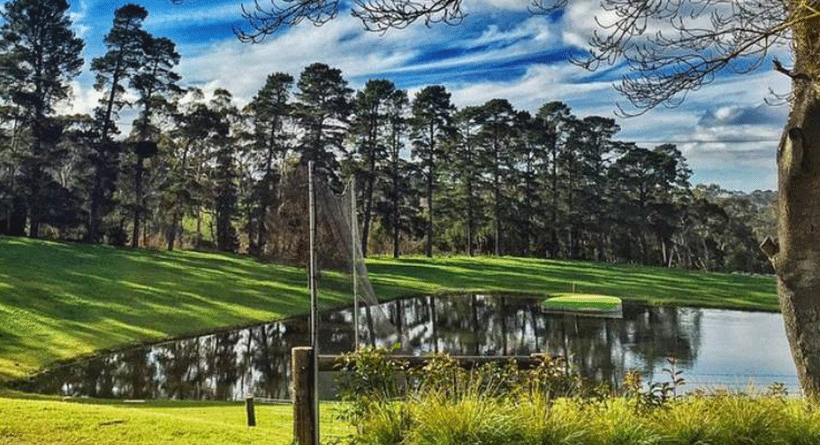 Sidewood Vineyard golf green
