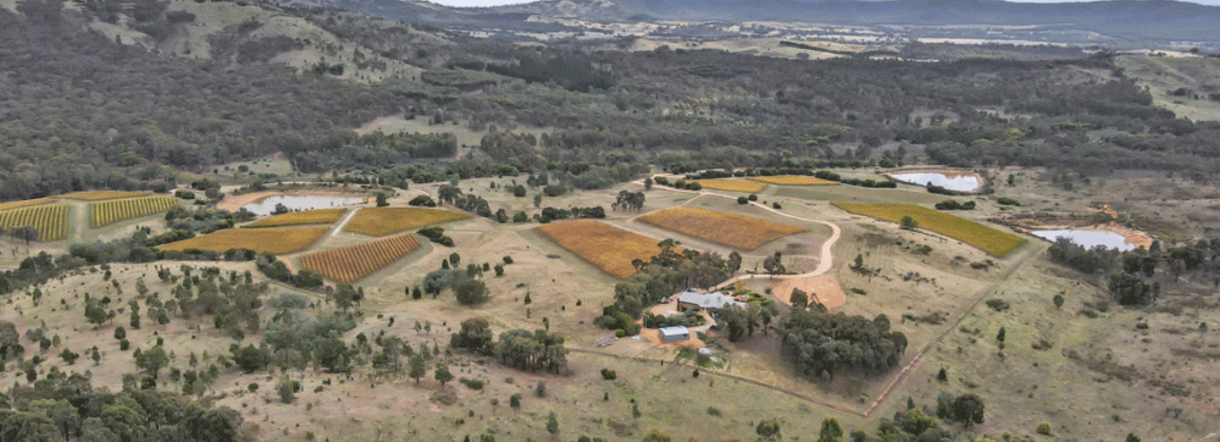 Peerick vineyard aerial view 