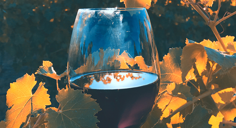 Virago | Halliday wine companion