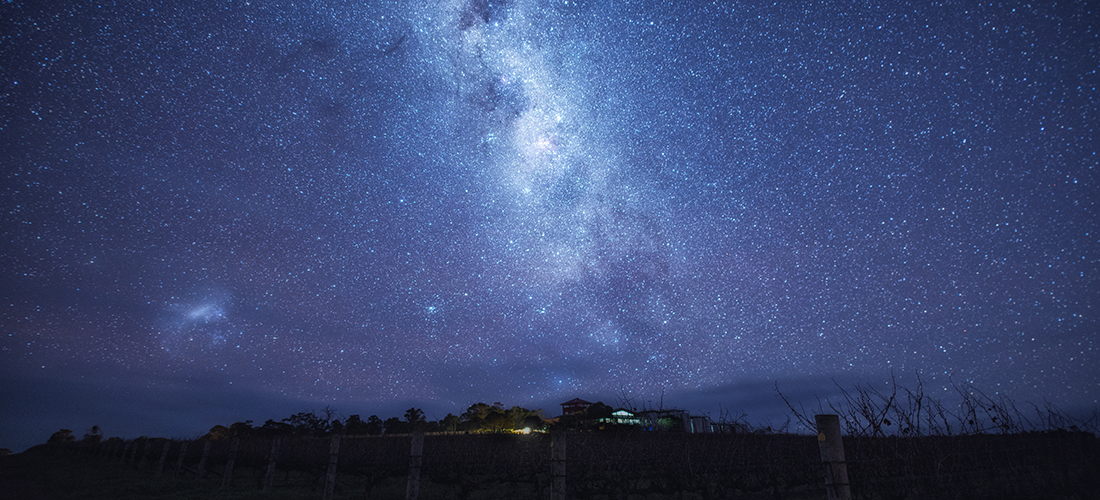Ferngrove night sky